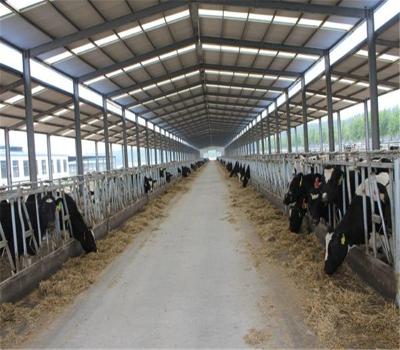 China Workshop / Warehouse / Garage / Chicken House China Prefab Steel Structure Warehouse Shed Corrugated Steel Structural Dairy Farm Shed for sale