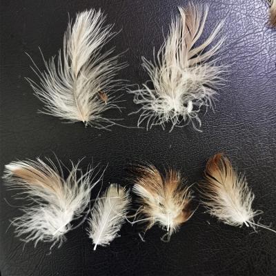 China Hot Sale Eco-friendly Cheap Price Duck Feather And 2-4cm Bottom Slippers Washed Raw Material Gray Duck Feather for sale