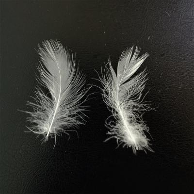 China 2-4cm Eco-friendly Hot Selling Nature Washed White Duck Feathers for sale