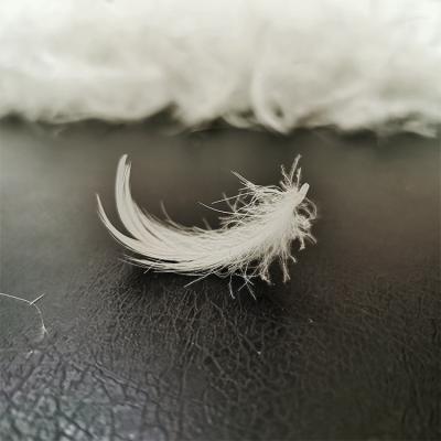 China Eco-Friendly IDFL Certified Small Washed White Duck Feather 2-4cm For Goose Duck Feather Filled Quilt for sale