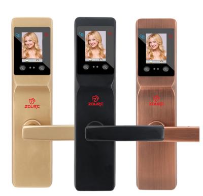 China Apartment Face Recognition Smart Door Lock for Bedroom and Office for sale