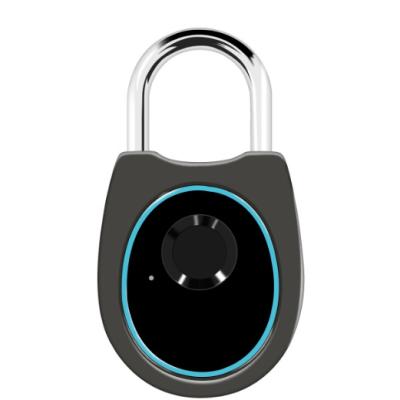 China Warehouse Door/Electronic Fingerprint Zinc Alloy Cabinet/Luggage Padlock For Jewelry for sale