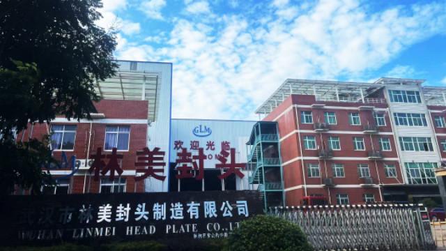 Verified China supplier - Wuhan Linmei Head Plate Co., Ltd.