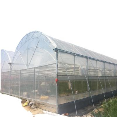 China Fruits Vegetable Flowers Multi Span Greenhouse Discounted Cheapest Cost PE Film Greenhouse Plastic Greenhouse For Agriculture for sale