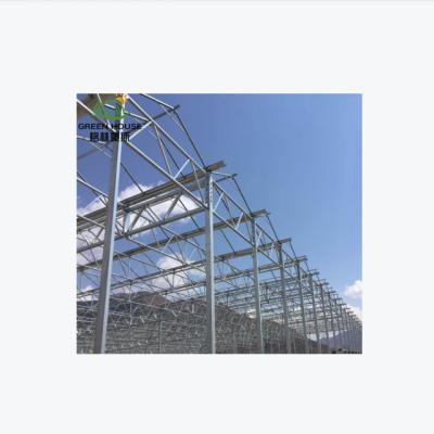 China Polycarbonate Vegetable Cheap Tomato Leaf Greenhouse Hydroponic Greenhouse Flowers Fruits Greenhouse For Sale for sale