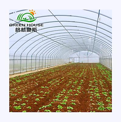 China High Humidity Growing Condition For Mushroom Hydroponics Grow Kit System Greenhouse Tunnel Greenhouse Excellent Climate Control Tomato Greenhouse for sale