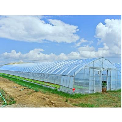 China Vegetables Planting Single Layers Greenhouse Film Cover Greenhouse Agricultural Span Greenhouse for sale