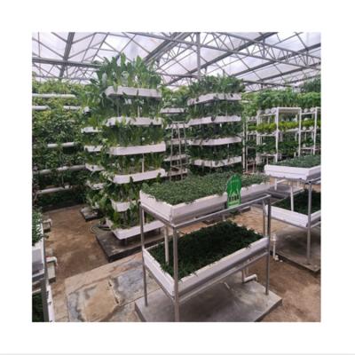 China Super Strong Durable Plastic Multi-span Hydroponic Growing Systems PC Sheet Multi-span PCB Board Greenhouse for sale