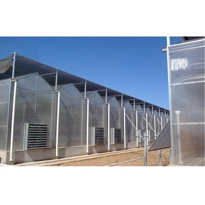 China PC Deprivation Light Multi Span Multi Span Greenhouse Sheet Multi Span Multi Span Film Greenhouse for sale