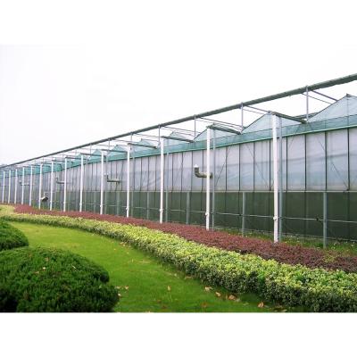 China Multi-span Greenhouse Structure Greenhouse Long Lifespan Multi-span Light Deprivation PC Sheet Glass Greenhouse for sale