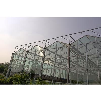 China PC Deprivation Light Multi Span Multi Span Greenhouse Sheet Multi Span Multi Span Film Greenhouse for sale