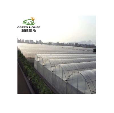 China Commercial Fruit Flowers Vegetable Film Greenhouse Greenhouse With Hydroponic Growing System Multi-Span Film Greenhouses for sale