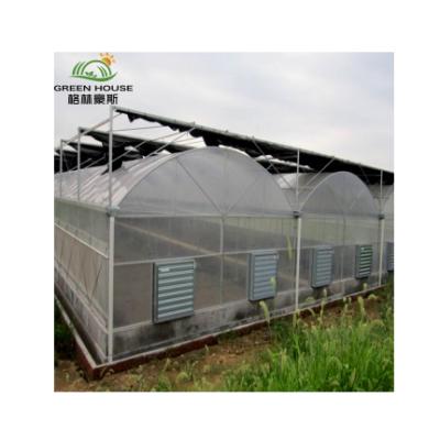 China Stable Structure Easily Assembled Low Cost Multi-span Film Greenhouse Commercial Green House Hydrophonic Greenhouse for sale