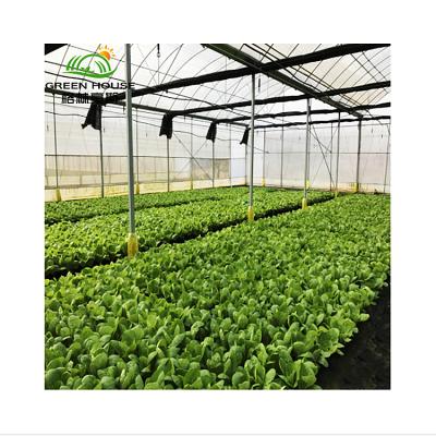 China Multi-span Agricultural Film Greenhouse Plastic Sheet Greenhouse Easy Installed Steel Framed Lowest Cost for sale