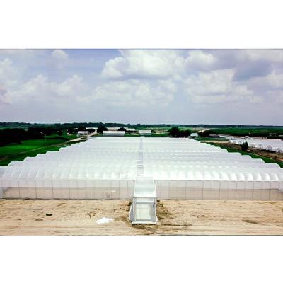 China Multi-span Tunnel Greenhouse View Green House Agriculture UV Protection Greenhouse Film Greenhouse for sale