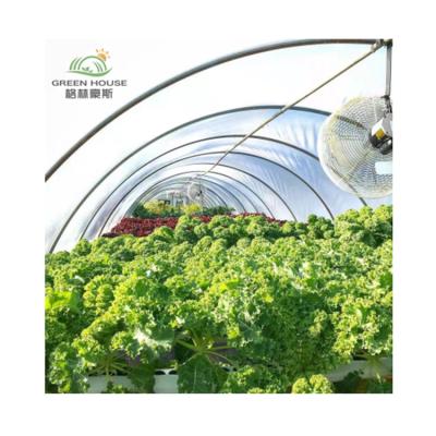 China Vegetables Planting Single Span Greenhouse Tunnel Greenhouse Prices Greenhouse Tunnel Professional for sale