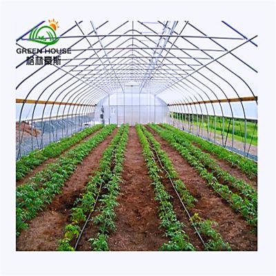 China Vegetables Planting Single-span Greenhouse Agriculture Tunnel Double Layer Tunnel Greenhouse Frame Tunnel Greenhouse for sale