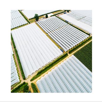 China Vegetables Planting Hot Sale Single Span Plastic Greenhouse Tunnel Greenhouse Film Tunnel Galvanized Frame for sale