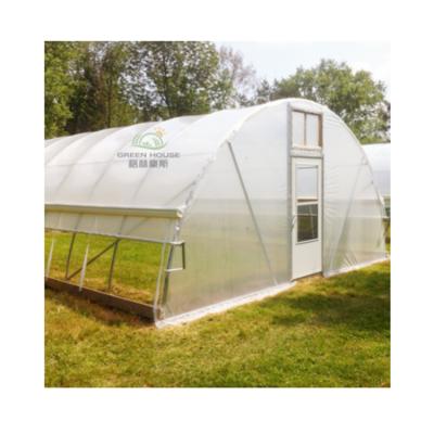 China Vegetables Planting Greenhouse Plastic Sheet Tunnel Greenhouse Plastic Sheet Tunnel Single Span Arch Greenhouse Metal Tunnel Walk for sale