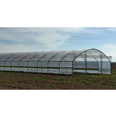 China UV tunnel agriculture greenhouse protection plastic greenhouse film machine steel pipe steel pipe tunnel greenhouse for sale