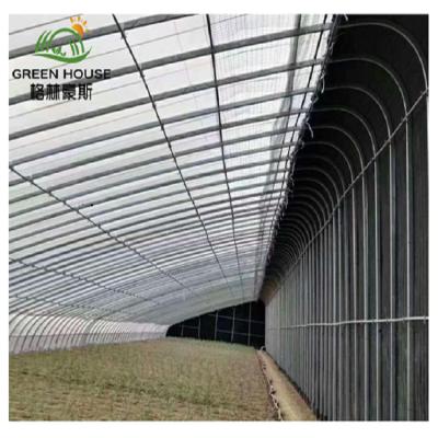 China Vegetable Fruit Flower Greenhouses With Winter Energy Saving Solar Greenhouse Soil Wall For Planting Vegetable for sale