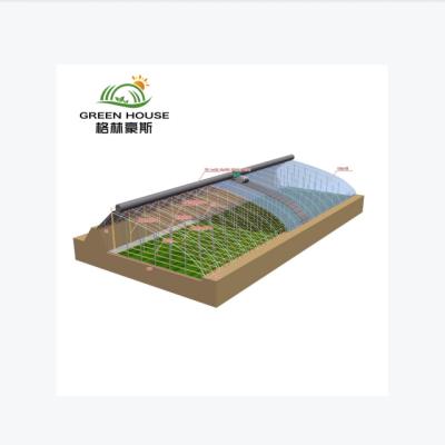 China Fruit Flowers China Vegetable Greenhouse With Back Wall Winter Solar Heating Warm Greenhouses For Agriculture for sale