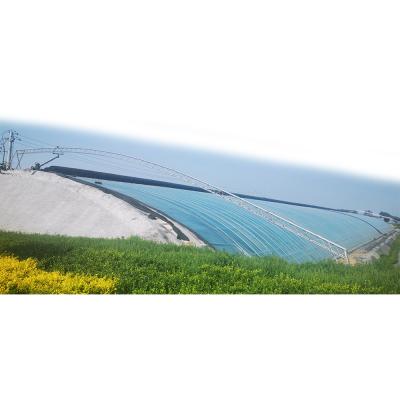 China Planting Vegetables Greenhouse Garden 50% Transparent Solar Panels For Greenhouse Agricultural Greenhouse Agriculture Greenhouse for sale