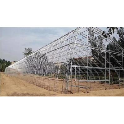 China Planting Vegetable Greenhouse Solar Greenhouse Agricultural Greenhouse For Planting Pepper And Tomato Leafy Vegetables for sale