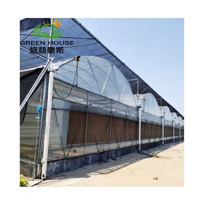 China Anti Insect Netting Film Tunnel Greenhouse Shade Net Hydroponic Growing Systems Tunnel Gothic Greenhouse for sale