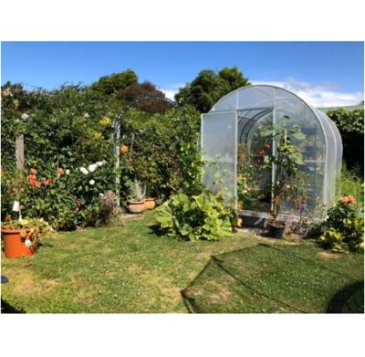 China Keep Warm and Grow in Indoor Garden PC Garden Mini Greenhouse Mini Gardening Greenhouse Home Greenhouse for sale