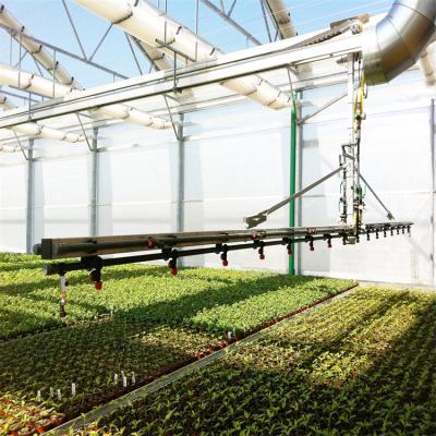 China Greenhouse Water & Fertilizer Irrigation Fertili Equipment Saving Agricultural Greenhouses Used Sale Agricultural Greenhouses Used Sale Greenhouses Structure With Hydroponics for sale