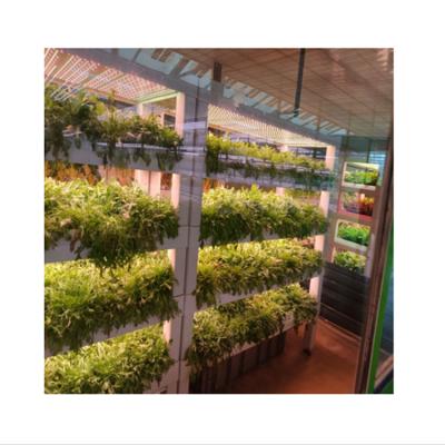 China Hydroponics Energy Saving System Greenhouse Hydroponic Shelves Grow Tent Plant Grow Tent Vegetable Cutter for sale