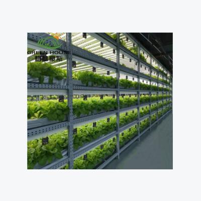 China food & Beverage Shops Shipping Container Roof For Indoor Led Greenhouse Hydroponics System Plant Grow Light For Planting for sale