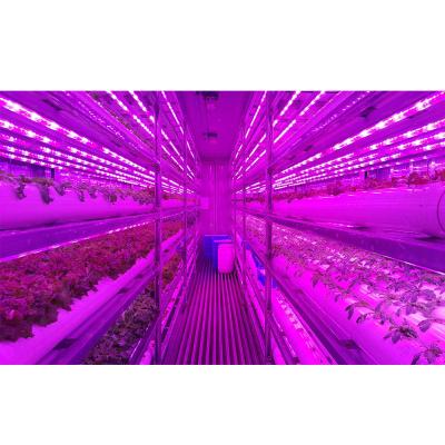 China Indoor PC Metal Sheet Hydroponics System nft custom made agricultural equipment board used in farms for sale