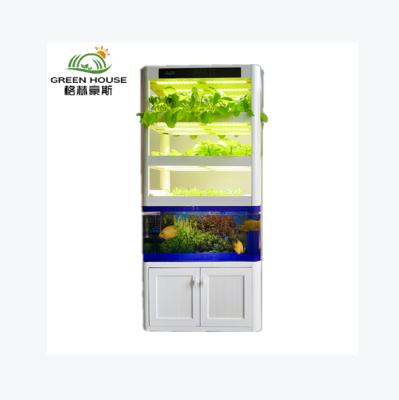 China Easy Growing Indoor Play Structures Nft Vertical Hydroponics System Aquaponics System For Sale for sale