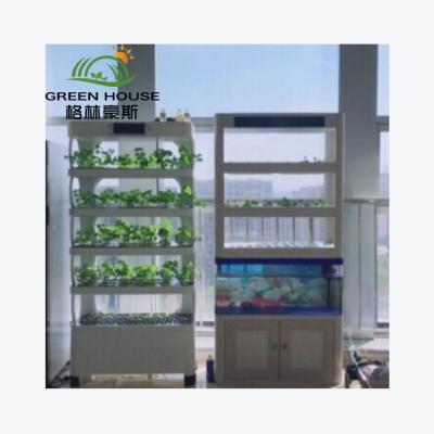 China Easy Growing Indoor Greenhouse System Hydroponic Growing Machine For Planting Vegetables for sale