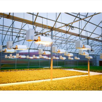 China Greenhouse Energy Saving Agriculture Led Greenhouse Light Hydroponic Lighting Led Grow Light 1000 W for sale