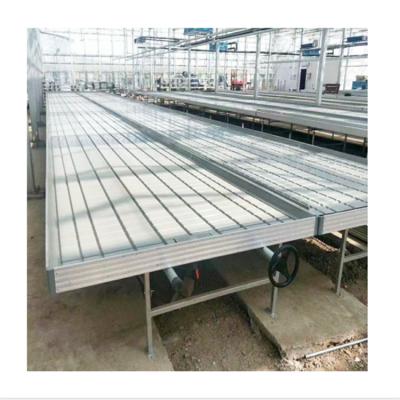 China Soilless Cultivation Greenhouse Seed Rolling Table Irrigation And Benches For Commercial Greenhouse Benches Greenhouse Seedling Wire Mesh for sale