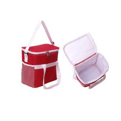 China Waterproof 2022 wholesales custom printed portable thermal non woven insulation bag large wine cooler bag for sale