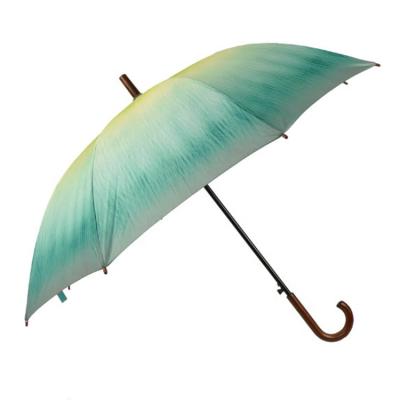 China All In 1 Green Color Photography Art Straight Umbrella With Wooden Handle Custom Changing Umbrella for sale