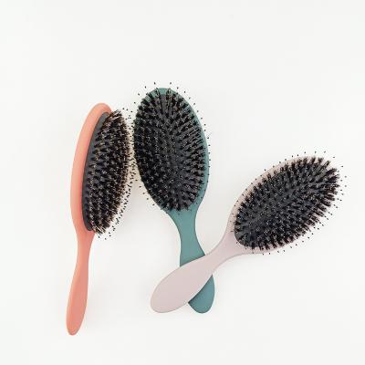 China Cushion Customized Women Shape Magic Palette Hard Bristle Brush Blended Boar Hair Hair Brush for sale