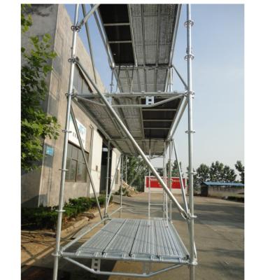 China Modern scaffolding twin wedge for sale