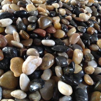 China Modern High Polished Mixed Color River Stone for sale