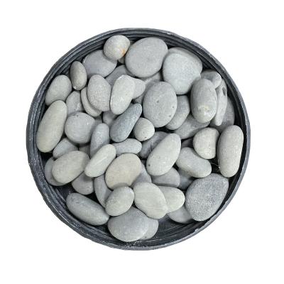 China Modern Small Size Upolished Beach Pebble Black Landscaping Rocks for sale