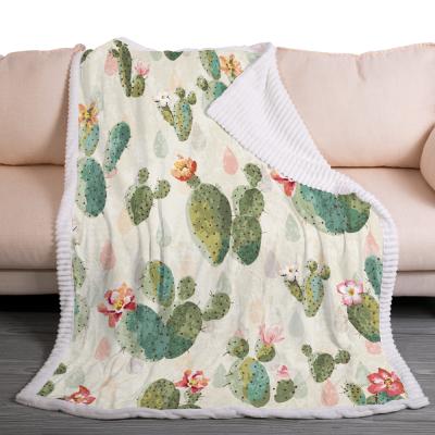 China HOT Custom Super Soft Photo Cactus Digital Printed Fleece Blanket For Winter for sale