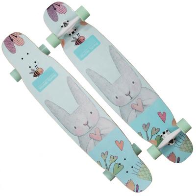 China Youth Samples Waterproof Custom Tape Longboard Full Grip Skateboard From China for sale