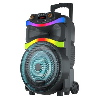 China Wheels PA System ABS 12 Inch 30W Trolley Speaker RGB Yes Loud Light Speaker for sale