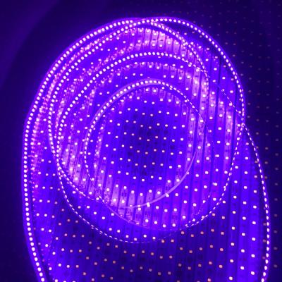 China LANDSCAPE 3535 purple uv-c 2835 5050 uv-c germicidal black light 265nm 390nm 365nm led strip for sale