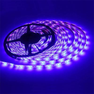 China Theme Park 12v 18leds RGB Color Changing IP 65 Smart Led Strip Lights 65.6ft 20m Strips For Bedroom for sale