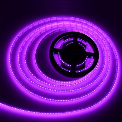 China Desktop 5m waterproof 4in1 rgbw 24v led strip 5000k 5050 smd led strip light light for sale